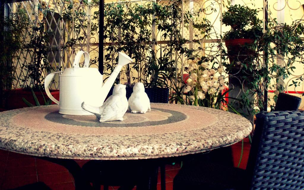 B&B Elisir Albenga Dış mekan fotoğraf