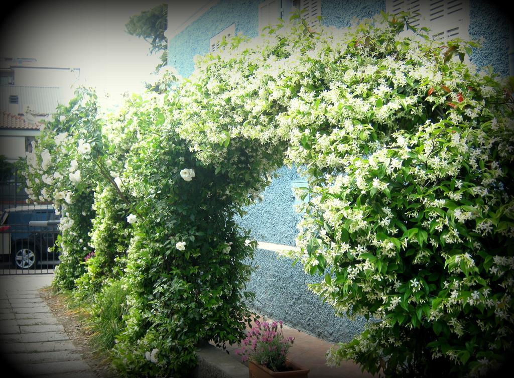B&B Elisir Albenga Dış mekan fotoğraf